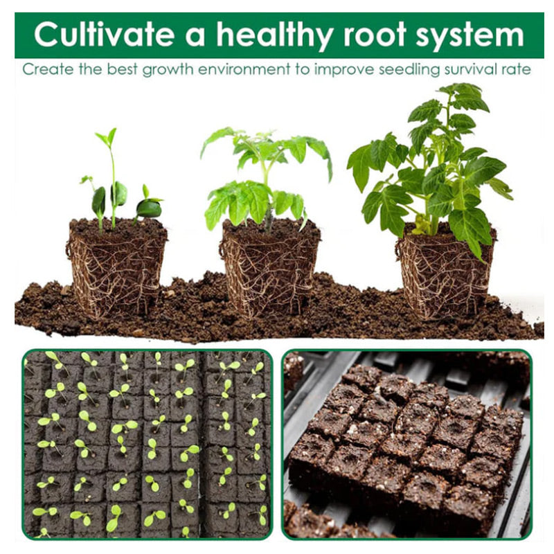 Grow Healthy Seedlings Without Plastic Waste – Eco-Friendly Solution