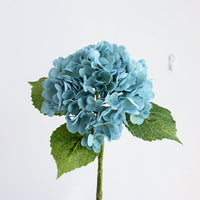 New sky blue