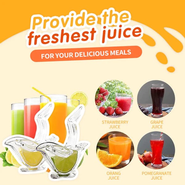 Elegant Citrus Juicer for Quick Fresh Juice Extraction