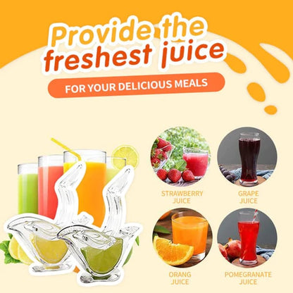 Elegant Citrus Juicer for Quick Fresh Juice Extraction