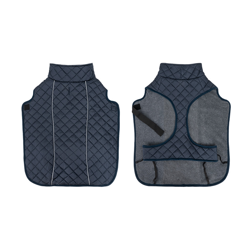 Keep Your Dog Warm and Visible During Every Walk