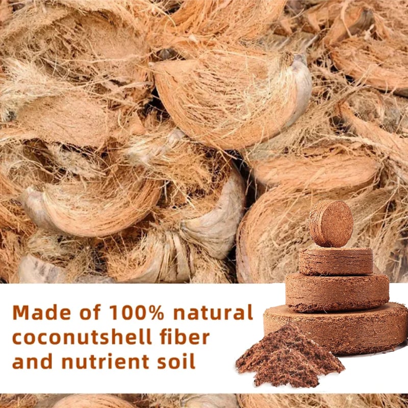 Eco-Friendly Coconut Fiber Growth Medium for Plants