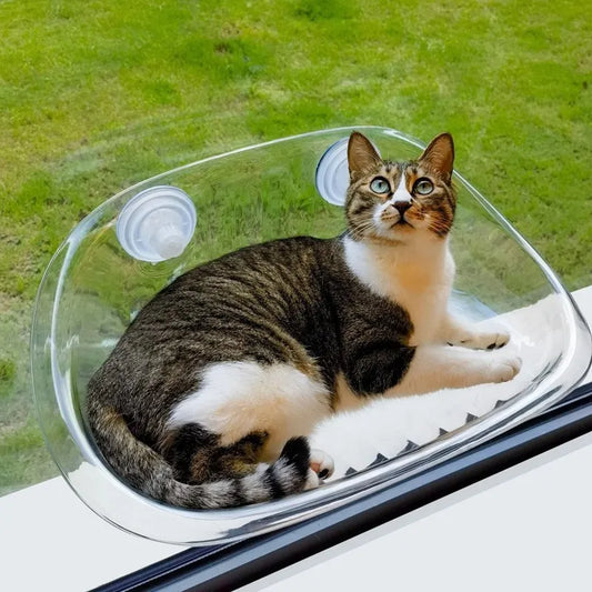 Cat Comfort Zone - Cozy Retreat for Your Feline Friend [Last Day Discount]