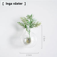 Transparent Jug