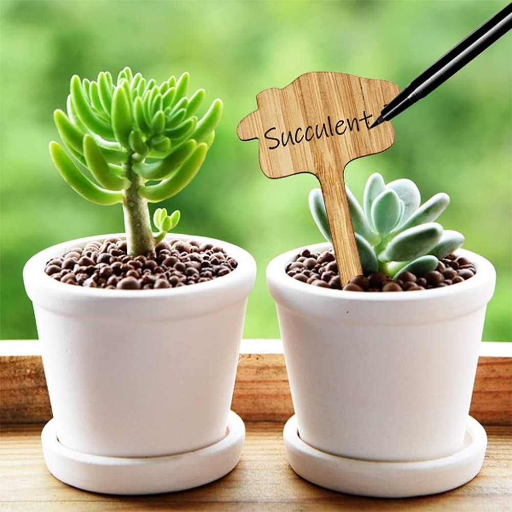Reusable Wooden Plant Care Labels – Never Forget Your Plants