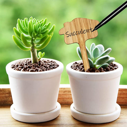 Reusable Wooden Plant Care Labels – Never Forget Your Plants