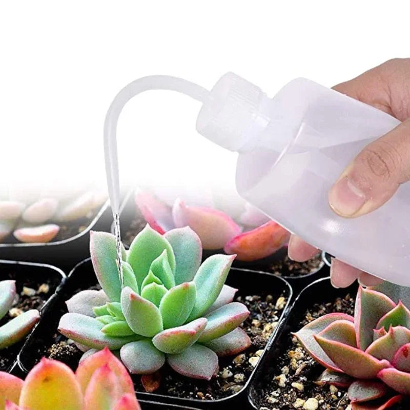 13-Piece Garden Tool Set | Stainless Steel and ABS | Designed for Succulents & Bonsai