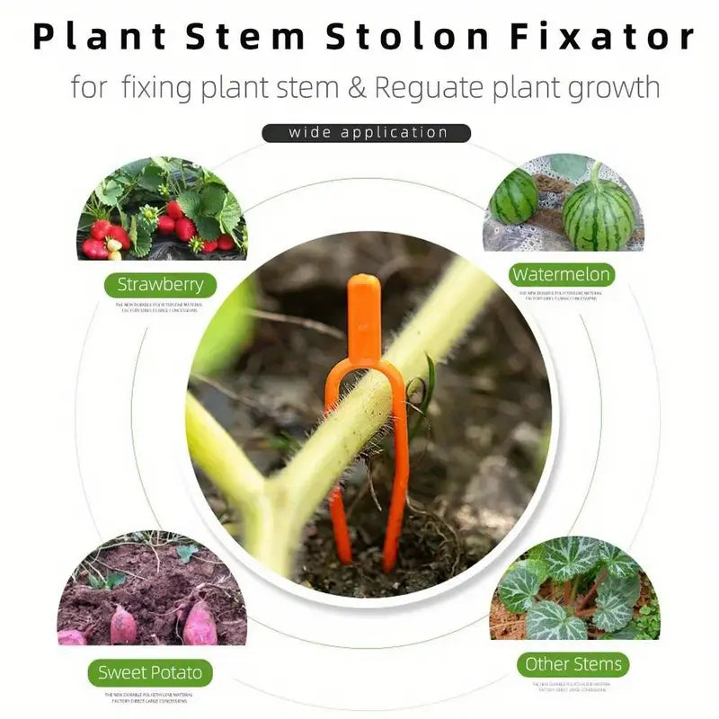 25+25 FREE | Keep Plants Upright and Healthy All Season Long