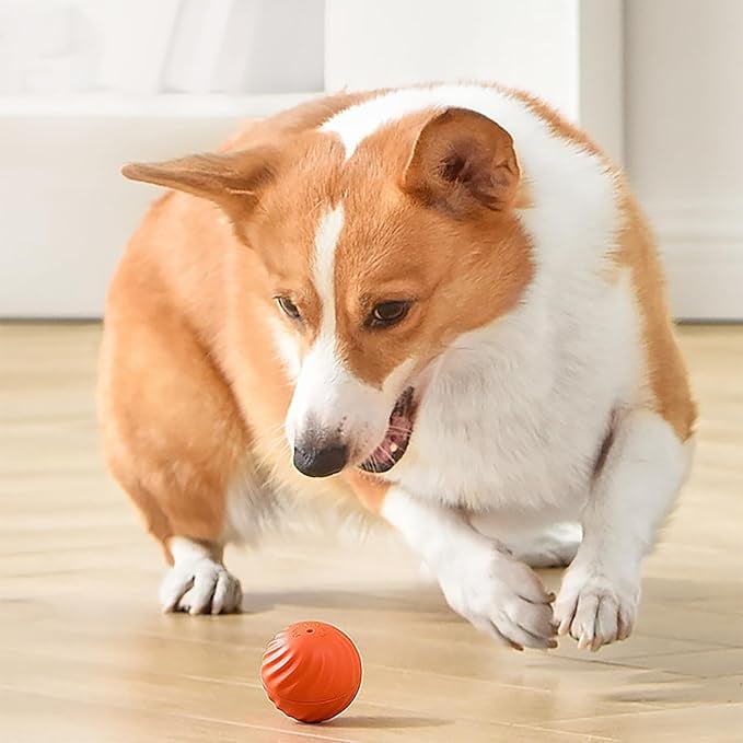 Interactive Dog Play Ball for Engaging Fetch Games