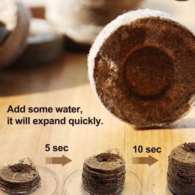 Quick and Strong Sprouting with Ideal Moisture Control