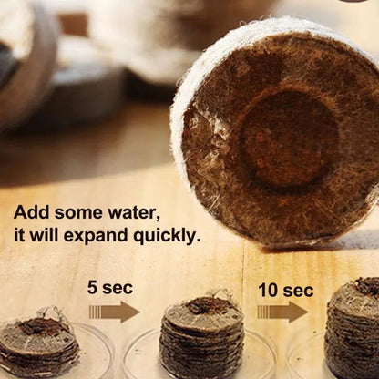 Quick and Strong Sprouting with Ideal Moisture Control
