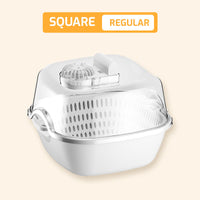 Square Regular