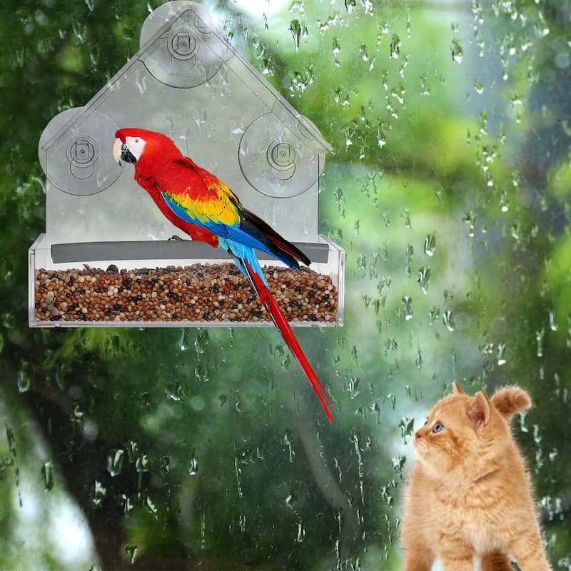Window Bird Feeder with 3 Suction Cups | Clear Acrylic for Birdwatching | Open Design | Easy to Fill & Clean