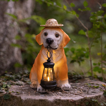 Illuminate Your Garden with Lifelong Solar Magic Lights