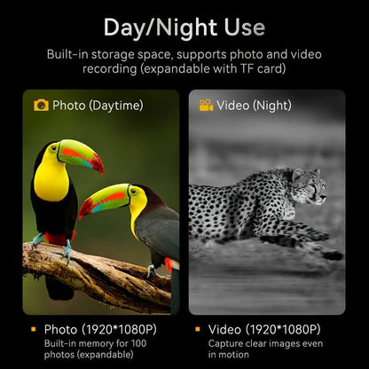 Digital Night Vision Binoculars for Long Distance Observation