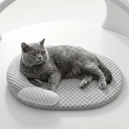 Washable Cooling Mat for Dogs and Cats – Summer Pet Relief