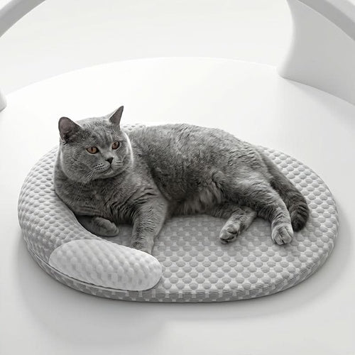 Washable Cooling Mat for Dogs and Cats – Summer Pet Relief