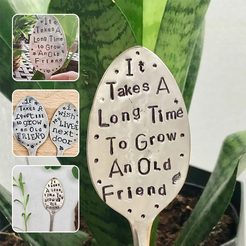 Buy One Get One Free | Connect with Every Plant You Grow