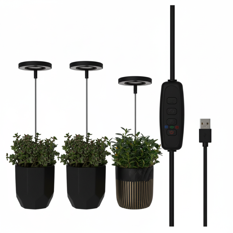 Keep Your Houseplants Healthy and Lively Year-Round