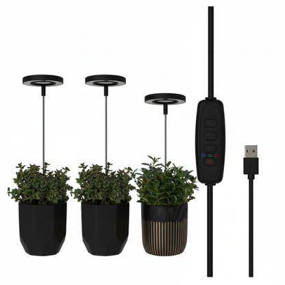 Keep Your Houseplants Healthy and Lively Year-Round