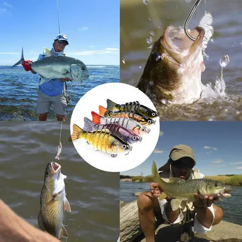 Catch More Fish Quickly with Realistic Swimming Motion