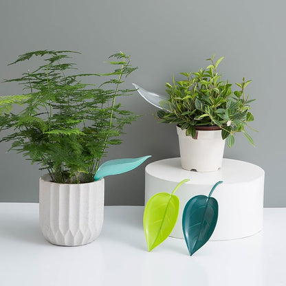 Clean Watering for Aquatic Plants Without Spills or Mess Every Time