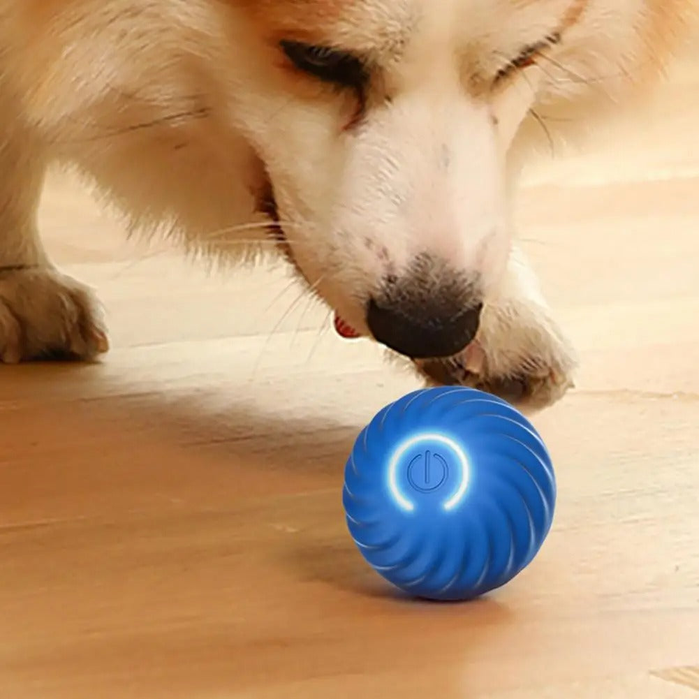 Interactive Automatic Dog Toy for Playtime Fun