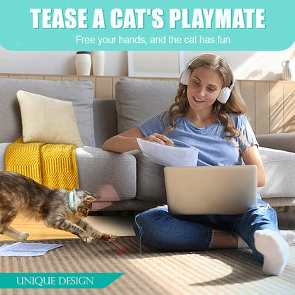 Keep Your Cat Healthy, Happy, and Energetic Every Day