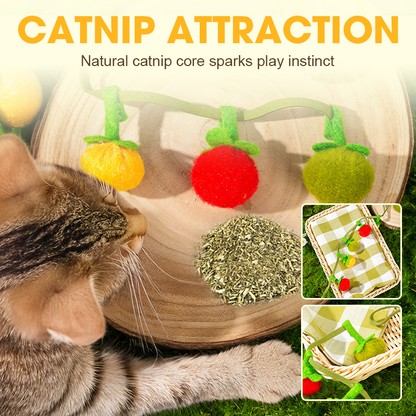 Buy One Get One Free | Keeps Your Cat Active, Happy, and Playful Daily