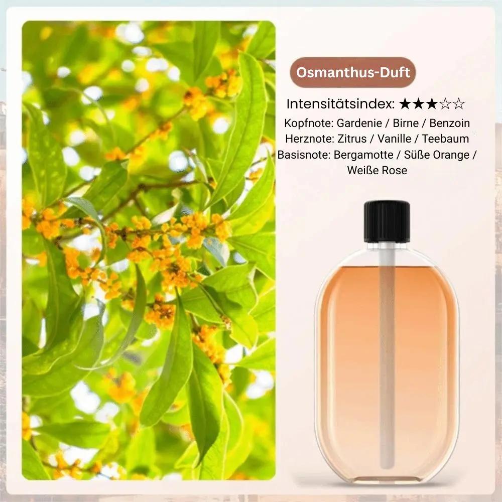 Wireless Aroma Mist Dispenser | Adjustable Scent Diffuser with Mood Lighting