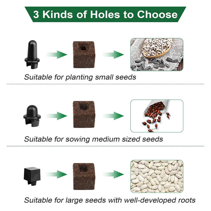 Grow Healthy Seedlings Without Plastic Waste – Eco-Friendly Solution