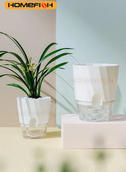 Self-Watering Hydroponic Planter | Transparent Dual System | Automatic Water Uptake
