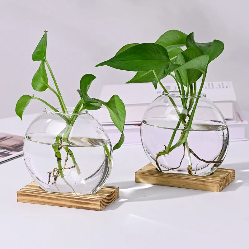 2-Piece Glass Terrarium Set with Wooden Stand | Hydroponic & Cutting Test Tube Vases | Contemporary Home & Office Decor