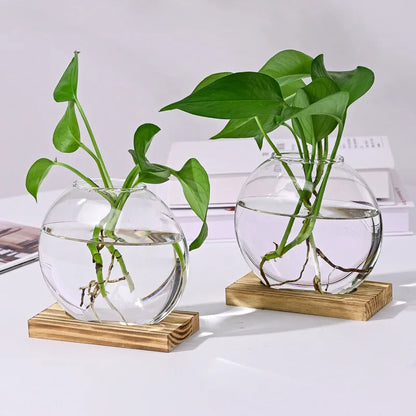 2-Piece Glass Terrarium Set with Wooden Stand | Hydroponic & Cutting Test Tube Vases | Contemporary Home & Office Decor