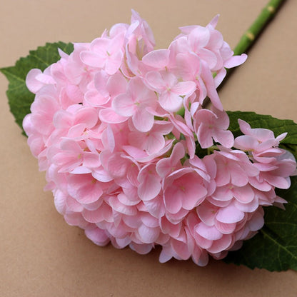 Forever Lively Flowers Without Maintenance - Hydrangea Decoration