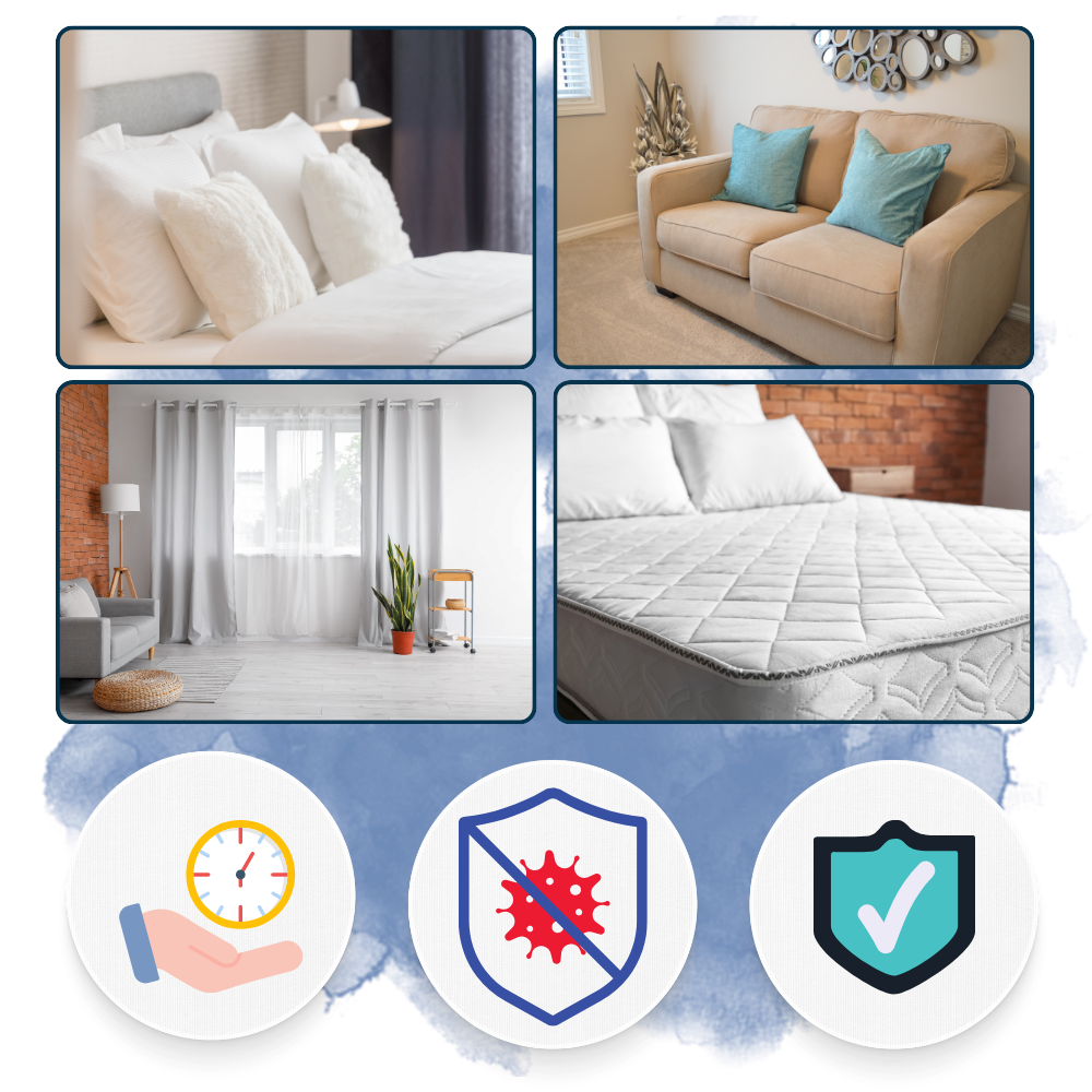 Rapid Bed Bug and Germ Elimination for a Safer Home