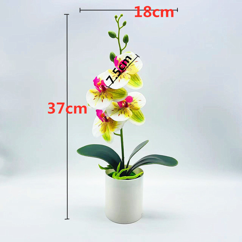 Effortless Elegance with Realistic, Low-Maintenance Orchids