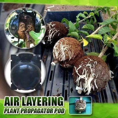 Grow Box for Plant Roots - Buy 3, Get 2 Free [Last Day Discount]