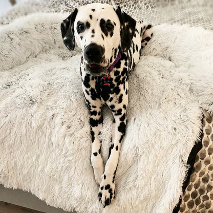 Washable, Warm, and Waterproof Autumn Cushion for Your Dog