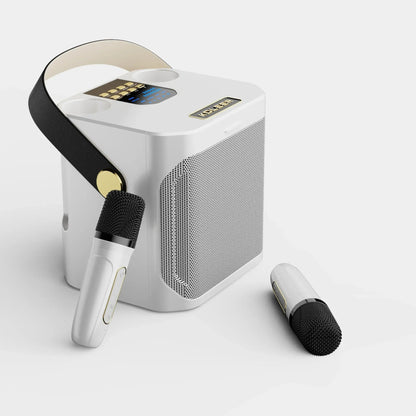 Bluetooth Karaoke Speaker with High Power and Portability