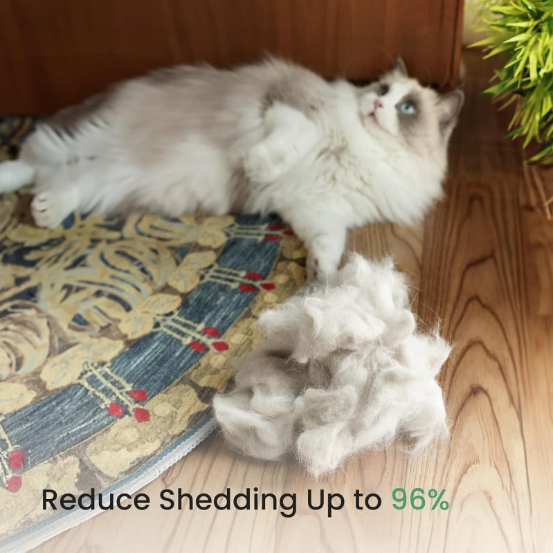 Instant Fur Control for a Clean, Happy Pet