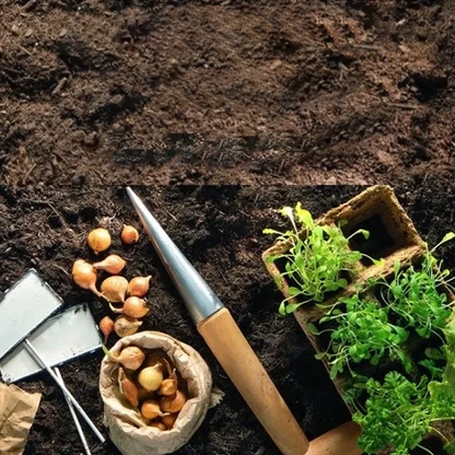 Buy One Get One Free | Connect with Every Plant You Grow