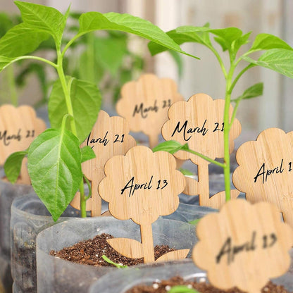 Reusable Wooden Plant Care Labels – Never Forget Your Plants