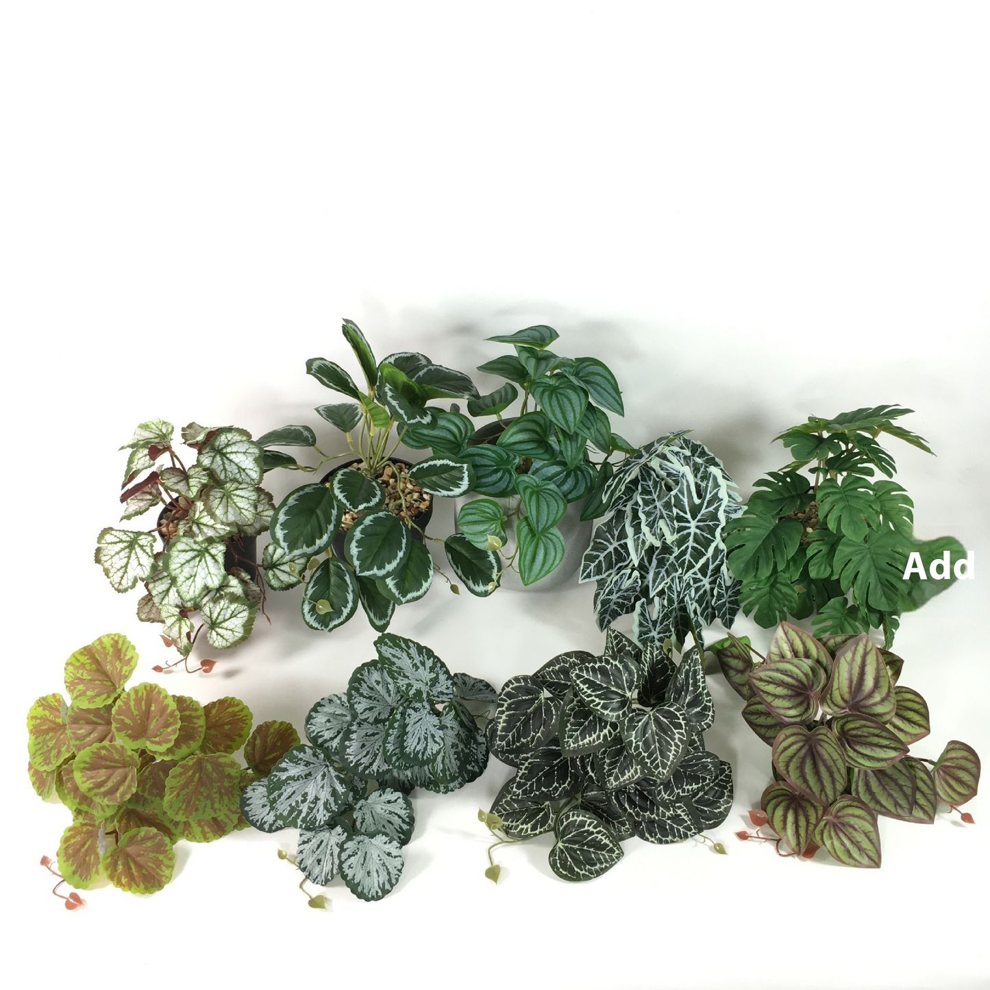 Instant Realistic Greenery with No Maintenance Required