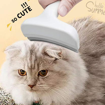 Effortless Fur Control for a Clean and Happy Home