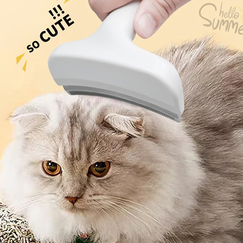 Effortless Pet Hair Removal Tool for a Cleaner Home