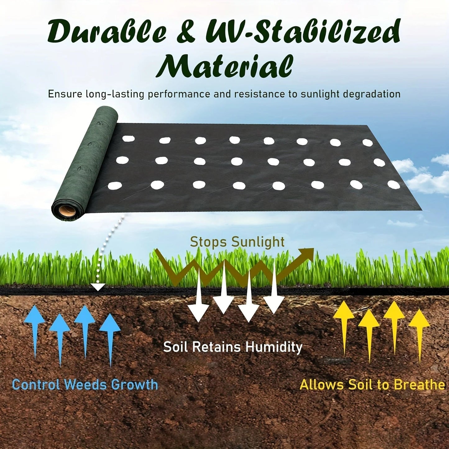 Weed Barrier Fabric - Perforated, Breathable Material for Vegetable Beds