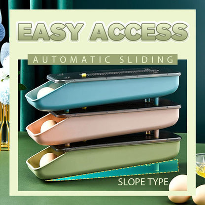 Egg Storage Organizer for Safe, Accessible Keeping of Eggs