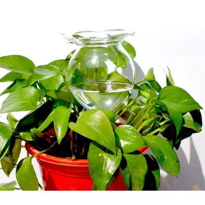 Automatic Self-Watering Plant Globes | Set of 2 Handmade Glass