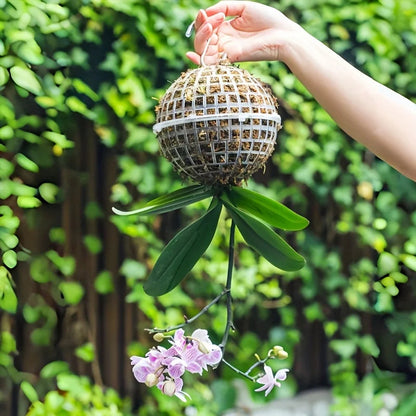 Contemporary Hanging Moss Ball | Plastic with Drainage Hole | Orchid and Fern Accessory | Indoor and Outdoor Use